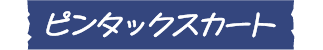 ピンタックスカート